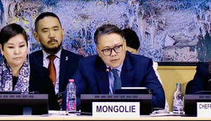 Mongolia Presents Human Rights Report at UN Review